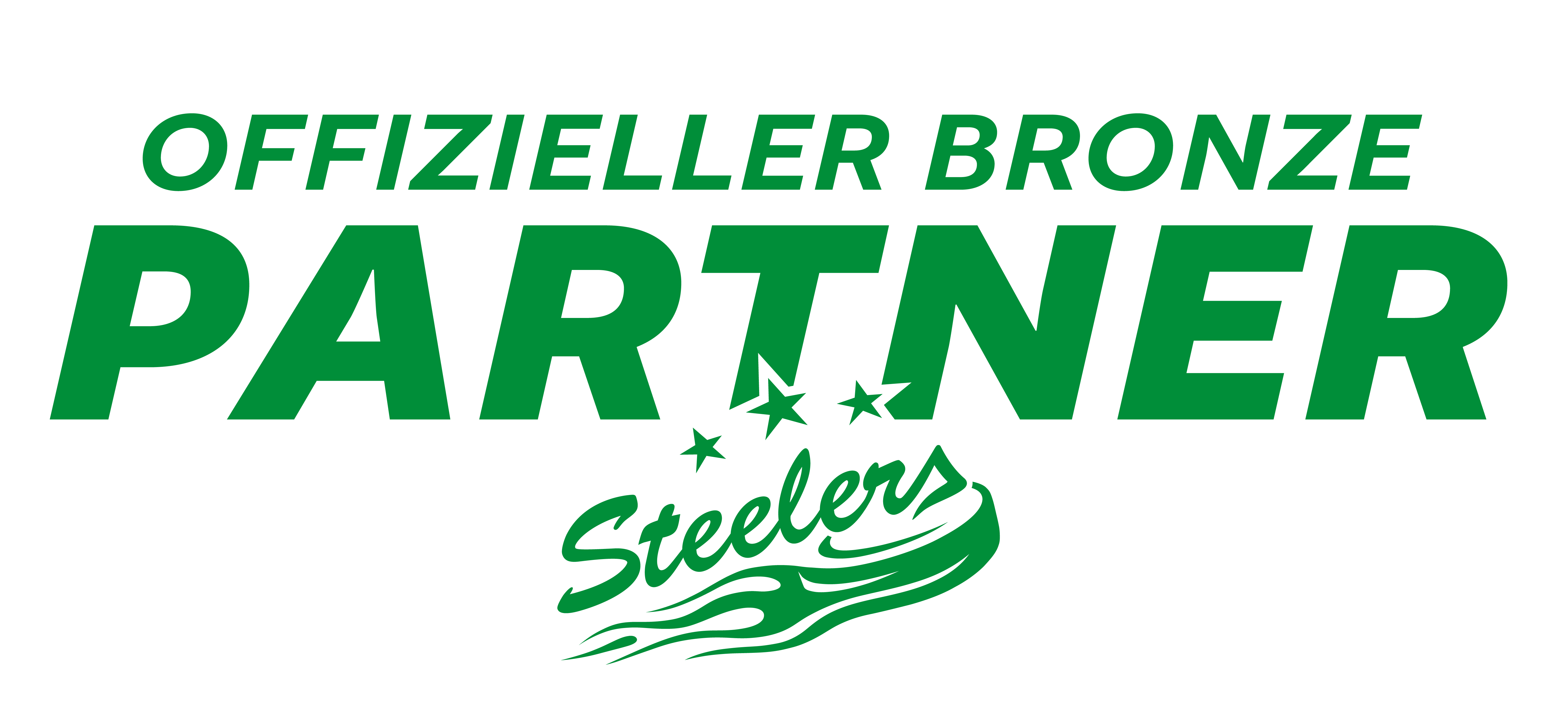 Steelers Bronze